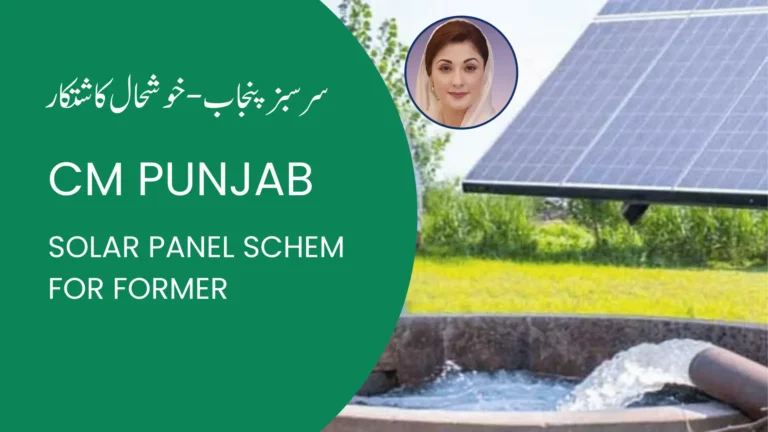 CM Punjab Green Punjab Solar panel Scheme 2024 | Everything You Need to Know